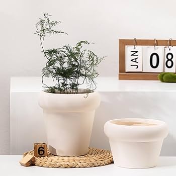 Amazon.co.jp: [ADSNS] 鉢植え 植木鉢 タイプ8. セラミック製 底穴付き